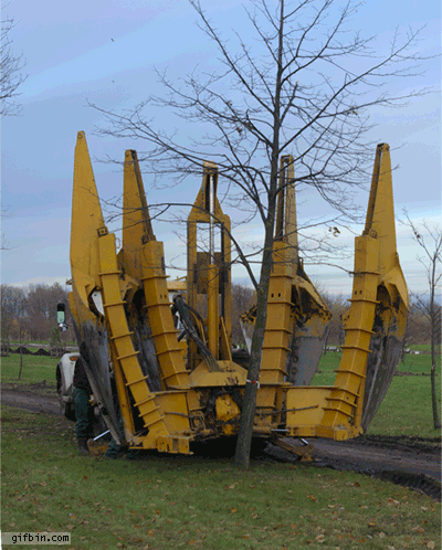 The-tree-removal-device.gif