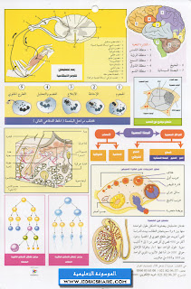 CD-CLIC-08-SCIENCES-4AM_01_www.educshare.com.jpg