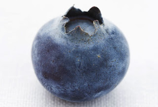 photolibrary_rm_photo_of_blueberry.jpg