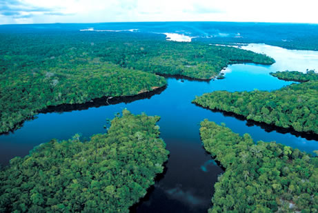 Amazon-River.jpg