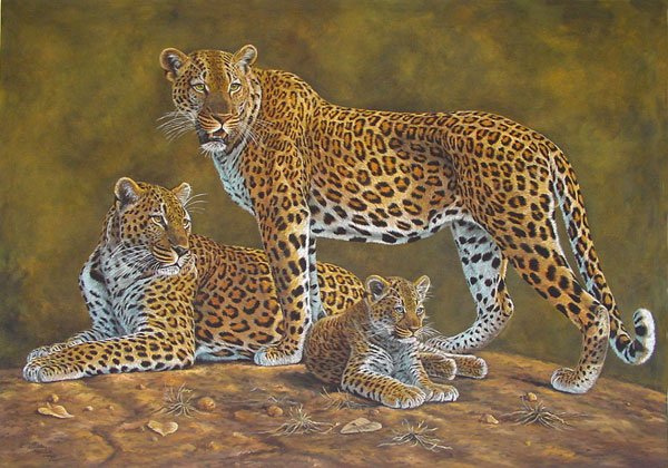 Leopards-June-Large.jpg