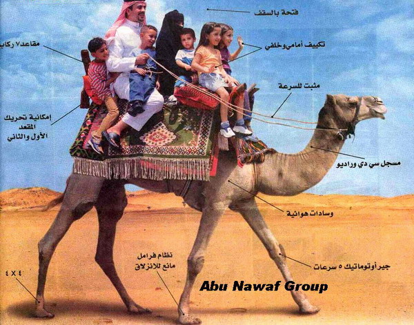 Arab%20car.jpg