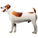 dog.png