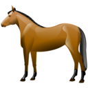 horse.png