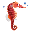 seahorse.png