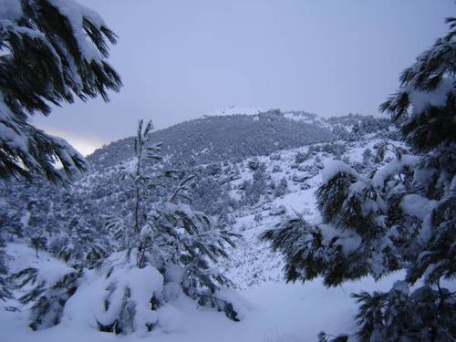 Neige-en-Kabylie.jpg