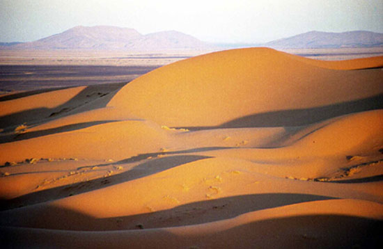 maroc-portes-desert-merzouga.jpg