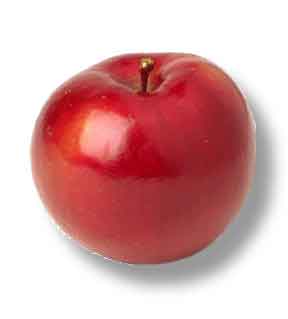 Red-Apple.jpg