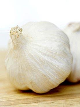 garlic.jpg