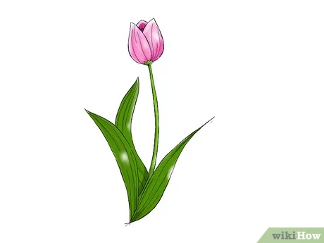 صورة عنوانها Draw a Flower Step 16