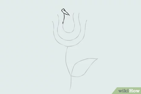 صورة عنوانها Draw a Flower Step 3