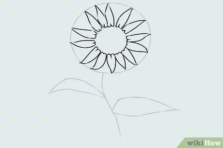 صورة عنوانها Draw a Flower Step 14