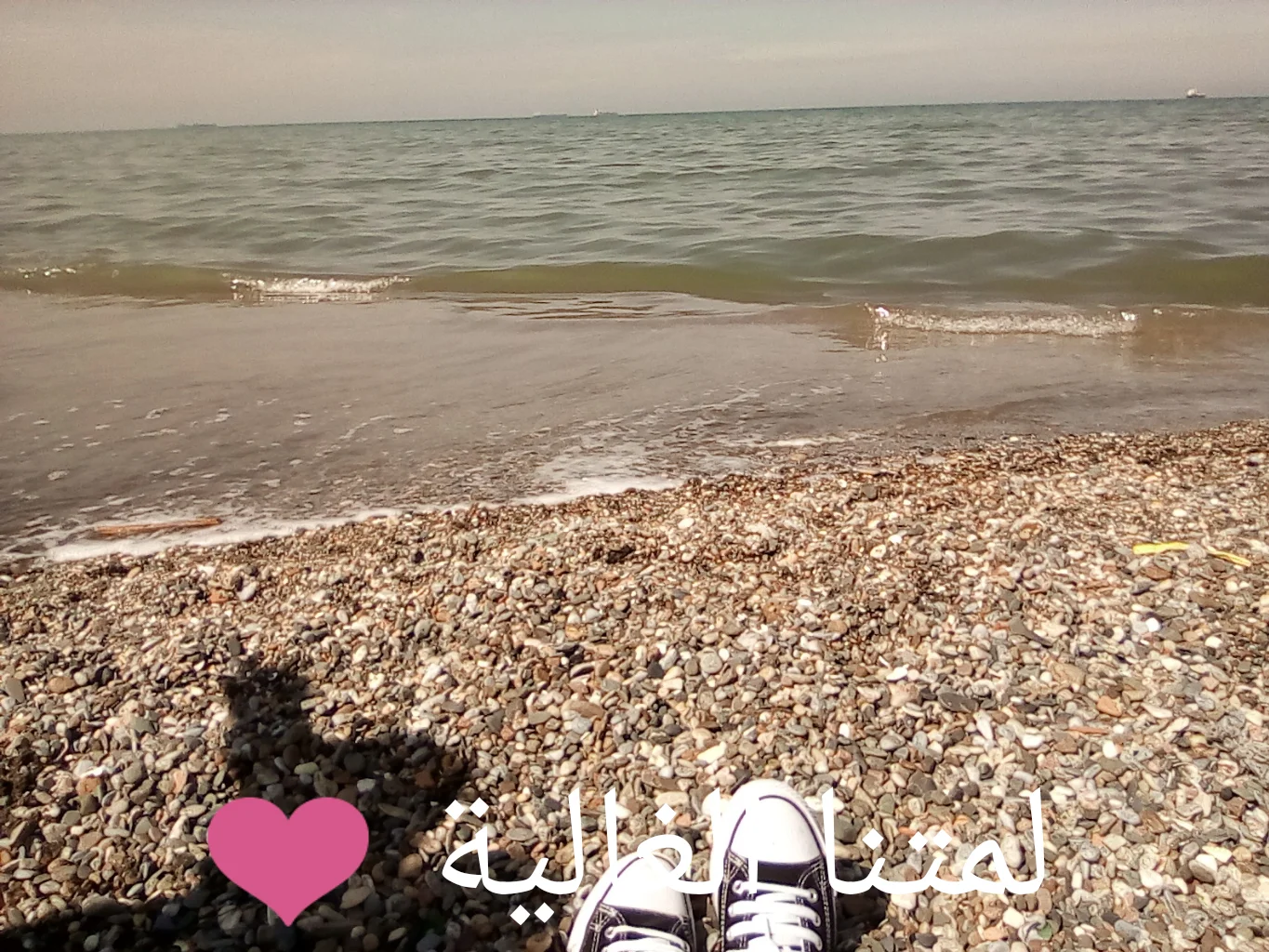 PhotoEditor_20190405_164606668.webp PhotoEditor_20190405_164606668.webp