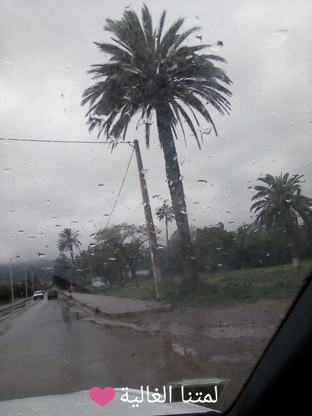 PhotoEditor_20190405_171002080.webp PhotoEditor_20190405_171002080.webp