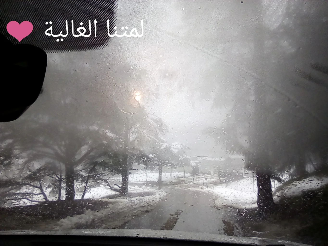 PhotoEditor_20190405_170810311.webp PhotoEditor_20190405_170810311.webp