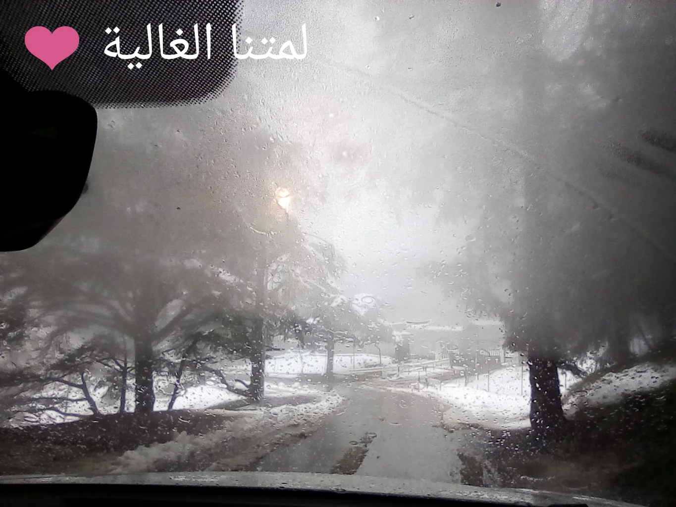 PhotoEditor_20190405_165159354.webp PhotoEditor_20190405_165159354.webp