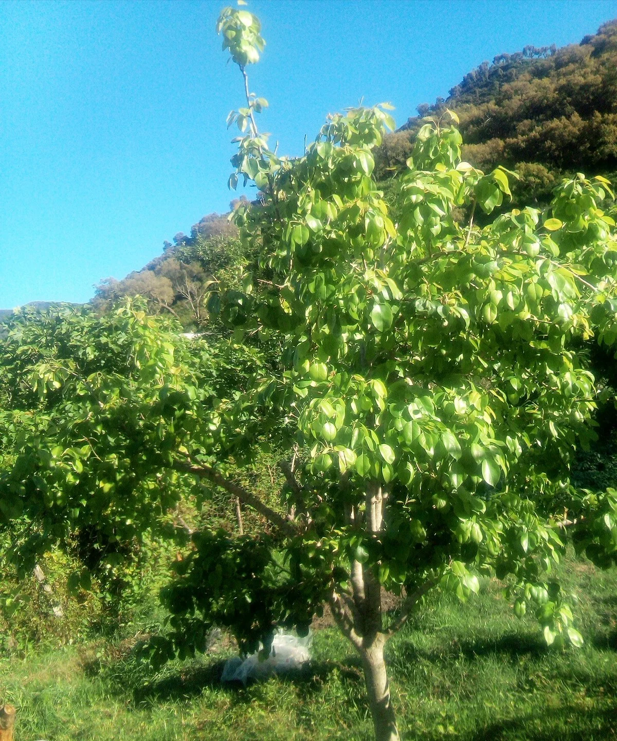 IMG_20190527_084009_980.webp