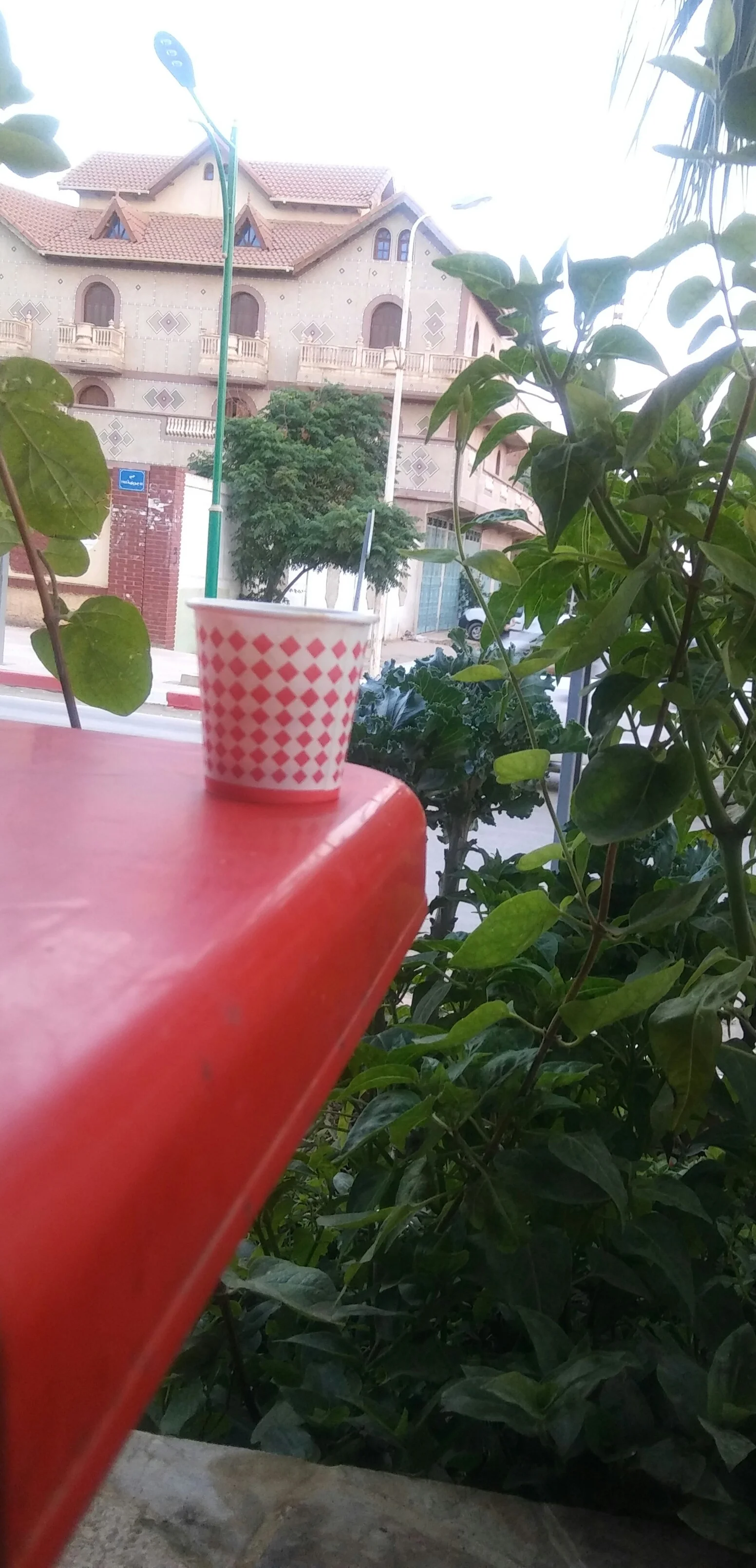 20190717_194805-1.webp