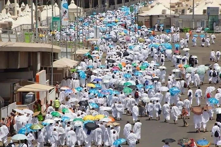 021C31FF-08D7-4001-97EF-DA59882AAC48.webp 021C31FF-08D7-4001-97EF-DA59882AAC48.webp