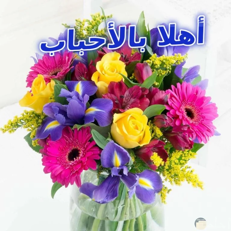 صورة-ترحيب-بالزهور.webp