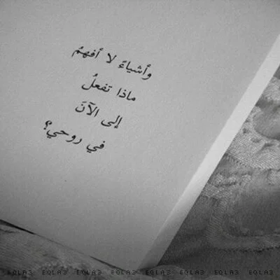 1569173456522.webp