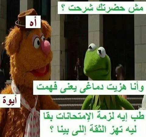 1570032023941.webp