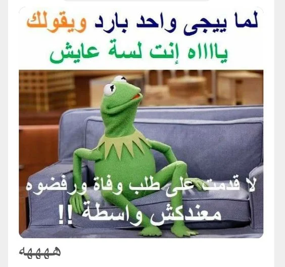 1570032079921.webp