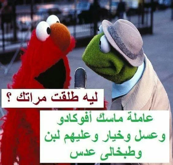 1570034030162.webp