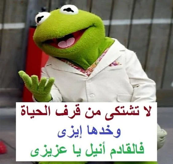 1570537719507.webp
