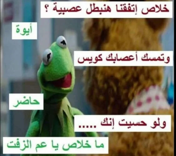 1570541438483.webp