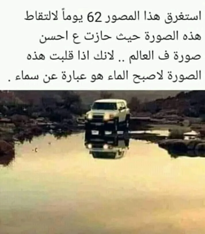 FB_IMG_1570469898363.webp