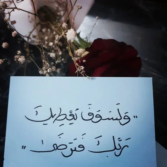 b7e9b782929c51d6878199fbdb65fbd7.webp