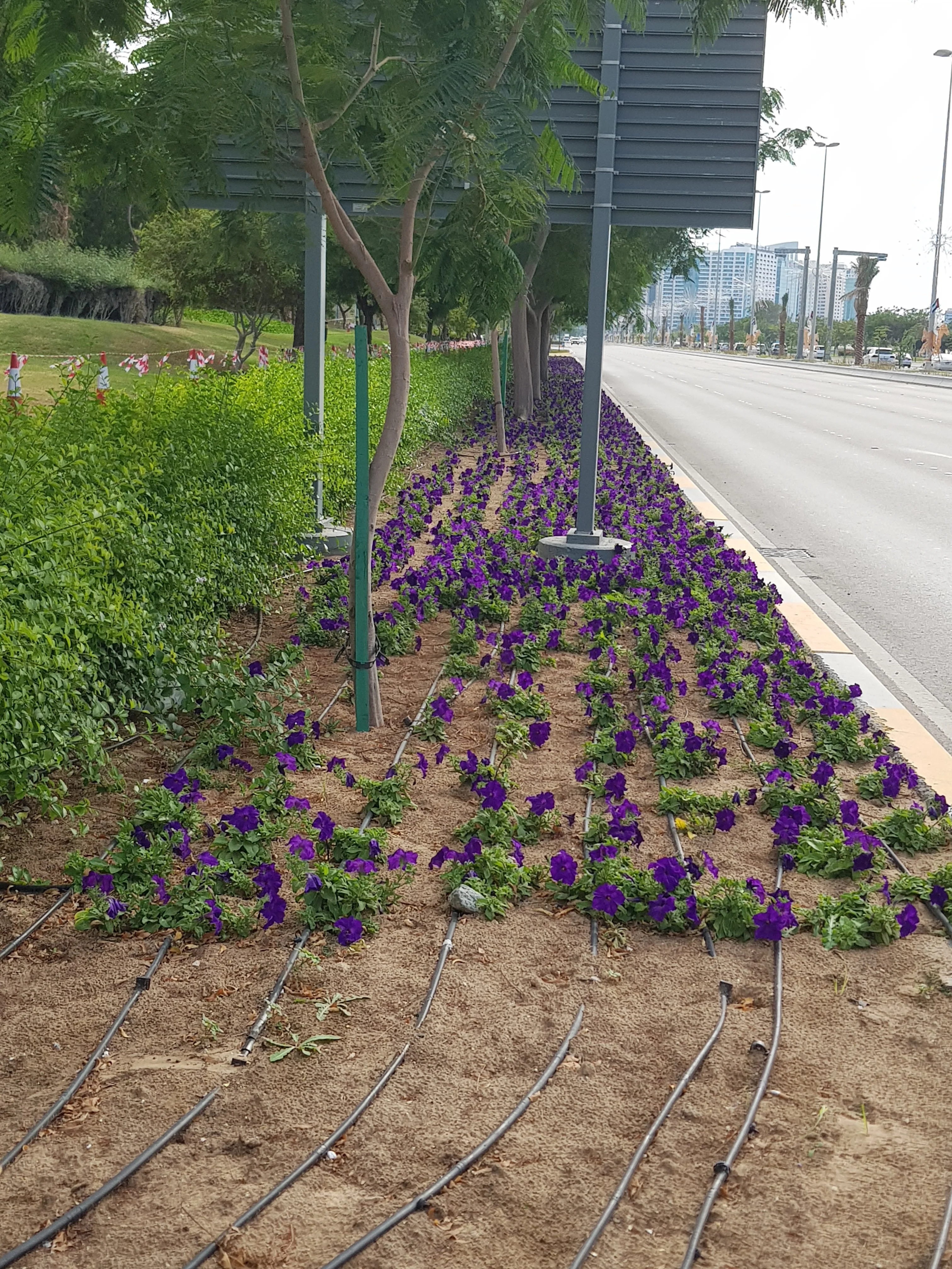 ٢٠١٩١١٢٥_١٤٥٢٠٣.webp ٢٠١٩١١٢٥_١٤٥٢٠٣.webp