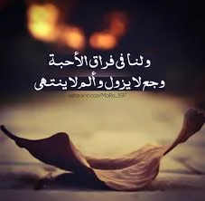 1575032319610.webp