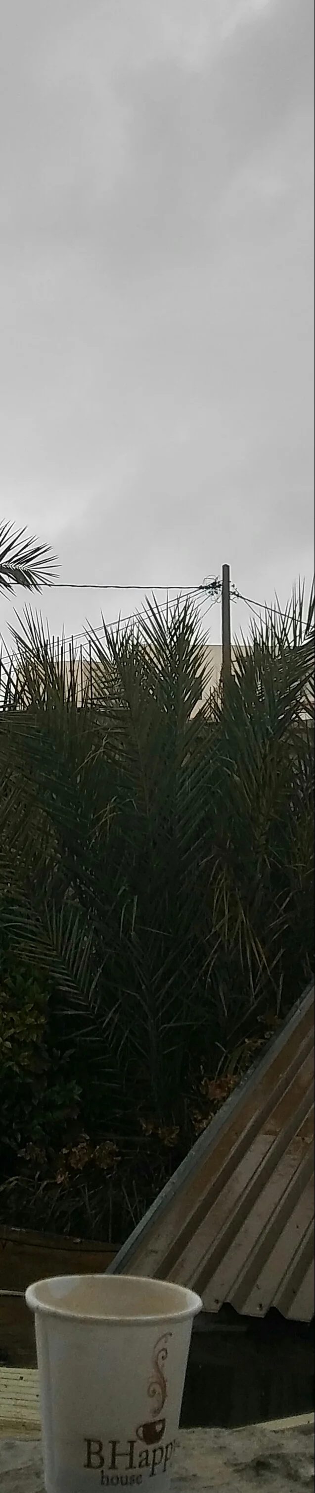 20191204_130318_HDR-1.webp