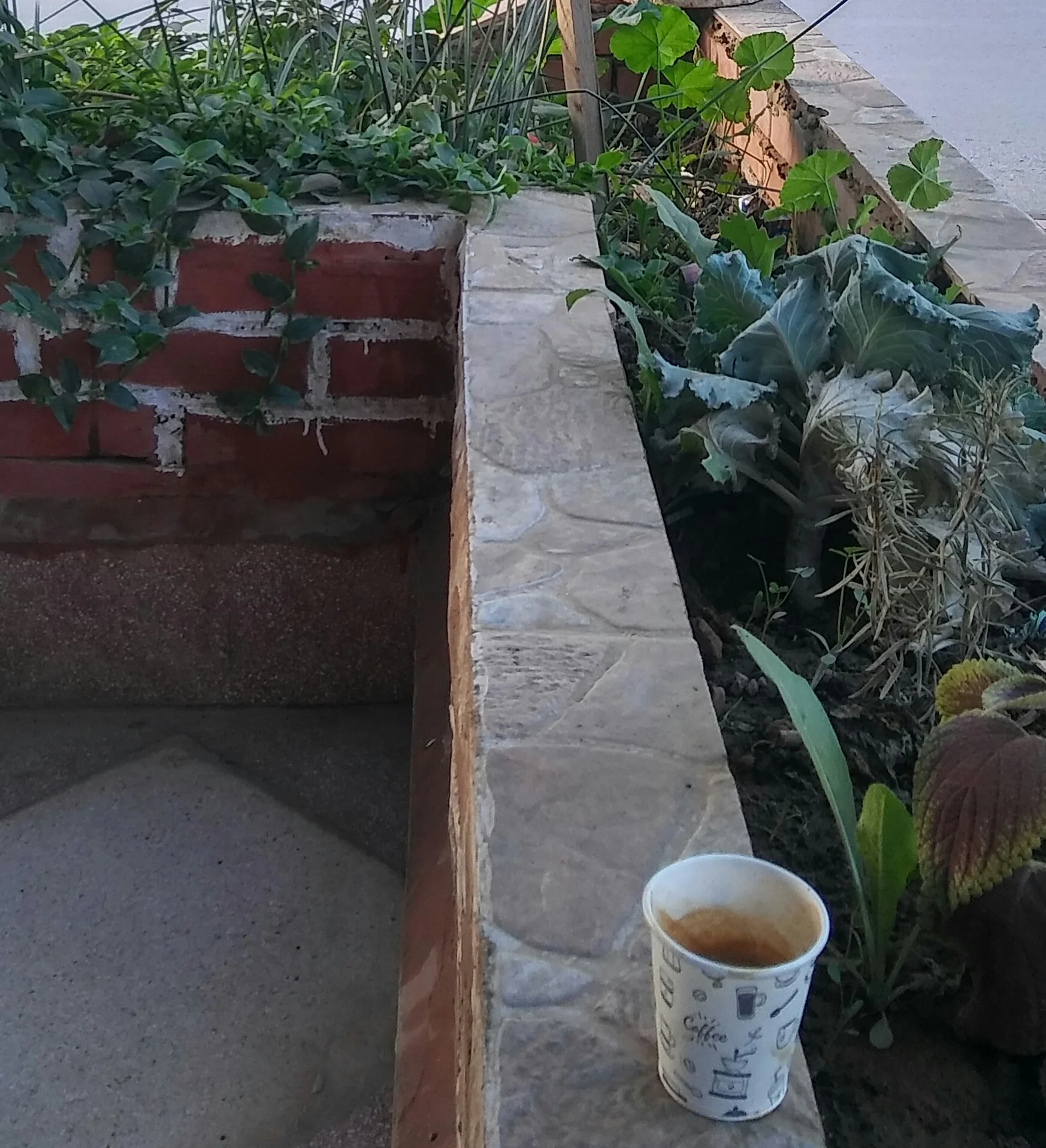 20191207_082247_HDR-1.webp