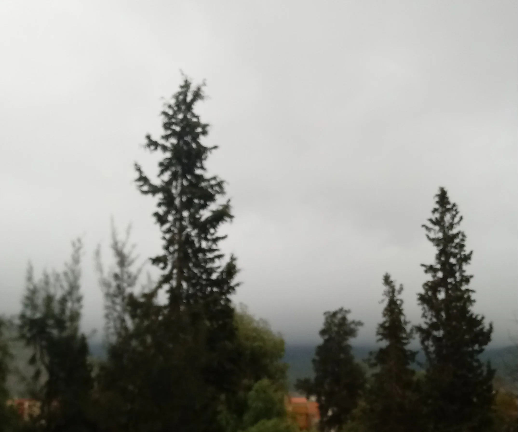 20191218_100941-1.webp