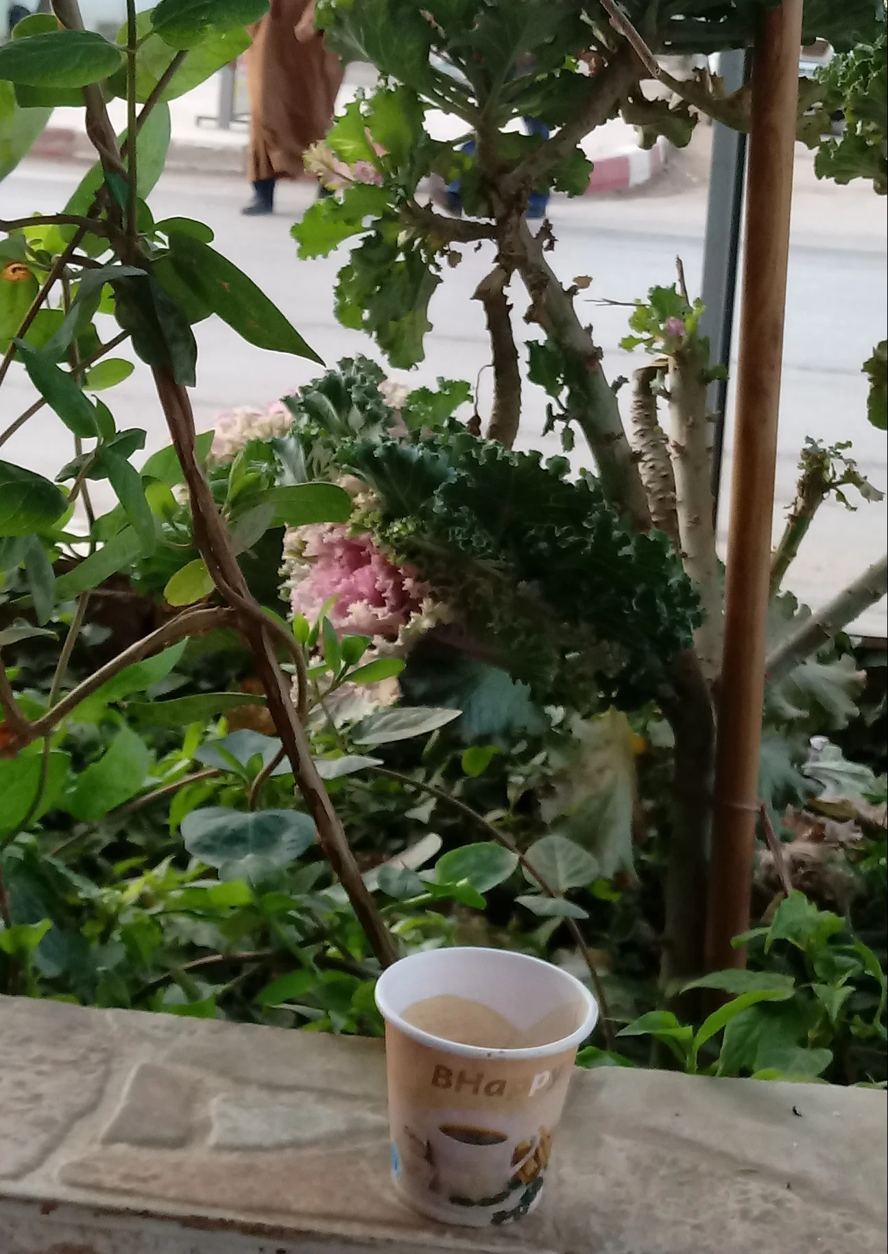 20191223_085054-1.webp