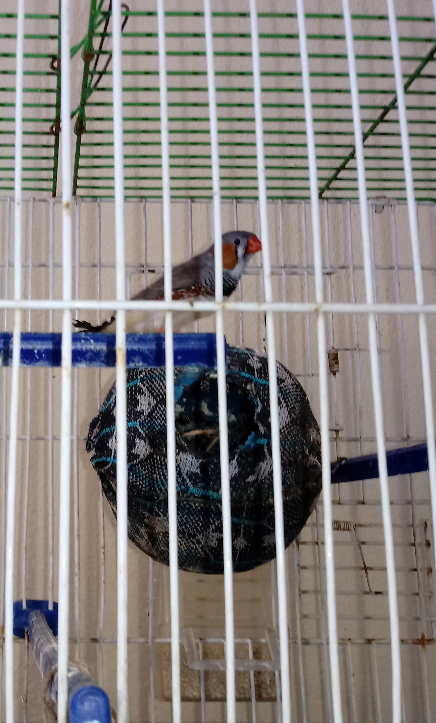 20191224_154903-1.webp
