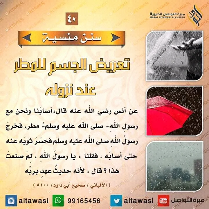FB_IMG_15225211292348487.webp