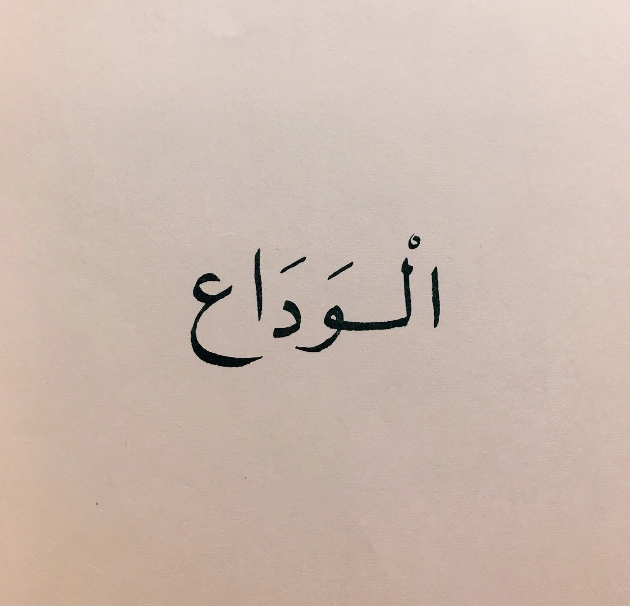 8814a94e-eeeb-43ee-9744-9f5d7723d6d1.webp