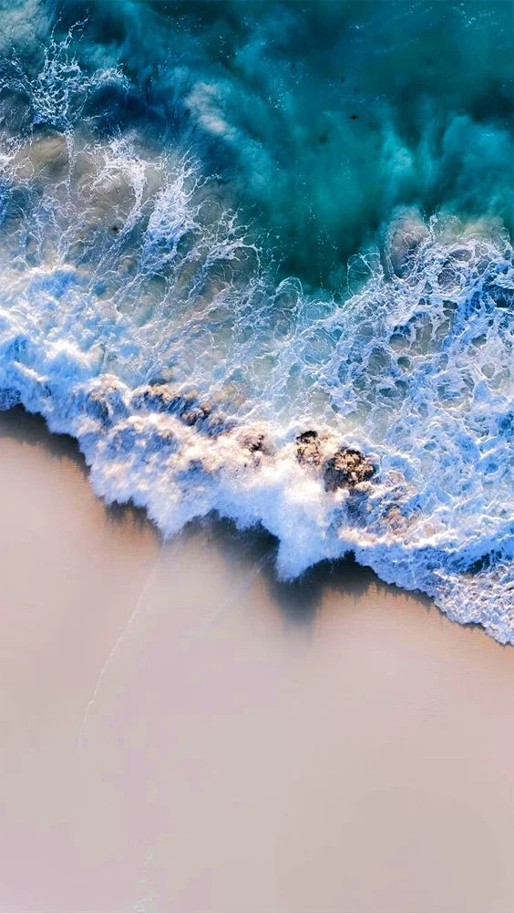 1595584539156.webp