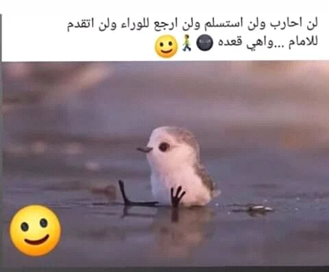 FB_IMG_15946835304231245.webp