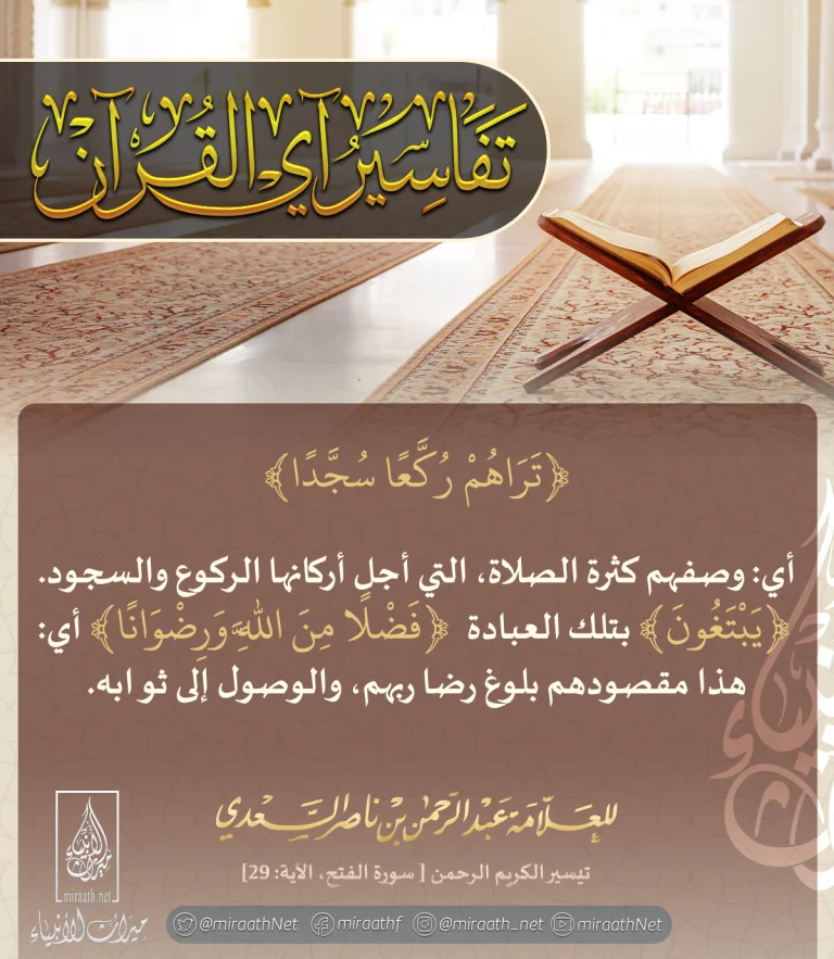 11-2-768x883.webp