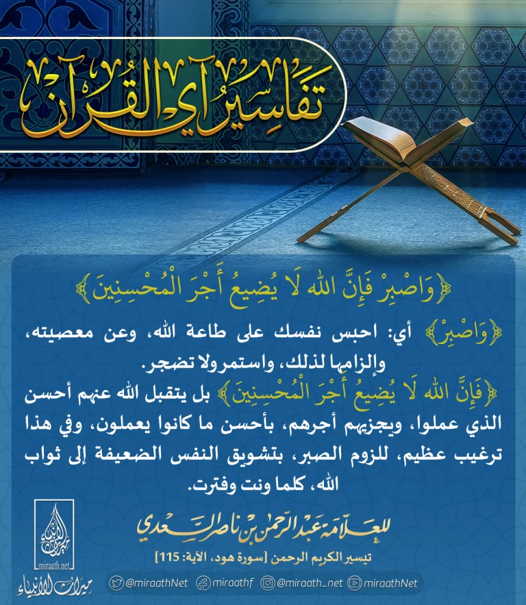 15-1-768x883.webp