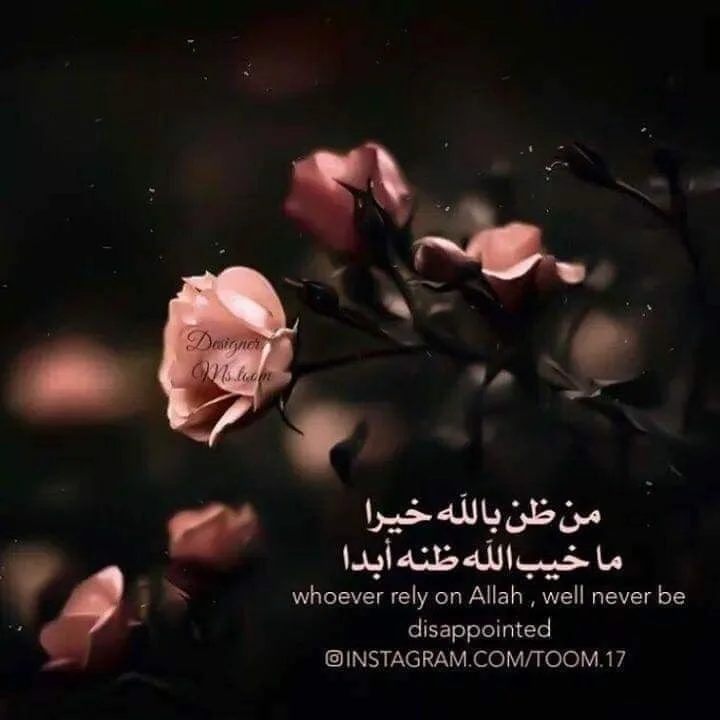 d549b26b0cf523fddd30a9cdc963a6b2.webp