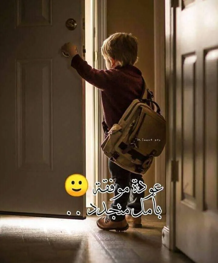 FB_IMG_1603234778831.webp