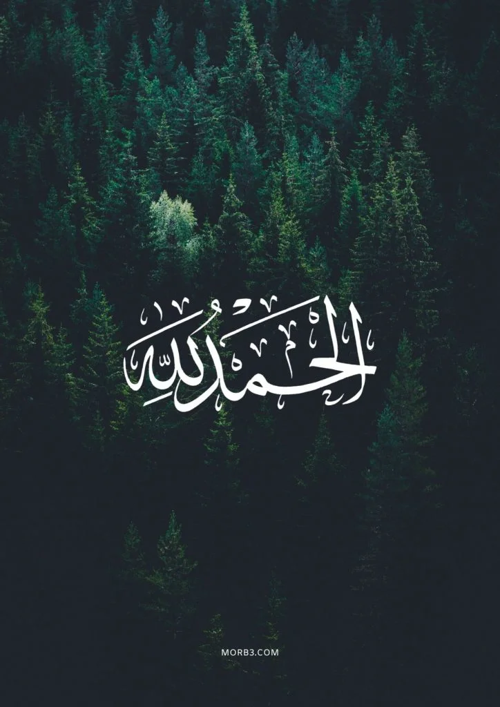 2-hd-صور-دينيه-الحمد-لله-خلفيات-اسلامية-للموبايل-ايفون-مكتوب-عليها-عبارات-دينية-للفيس-للواتس-...webp