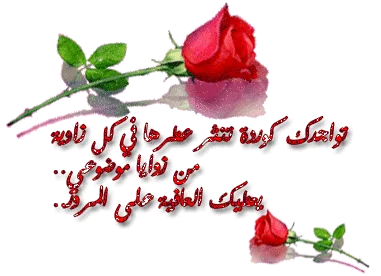 1604748339964.webp