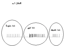 images.webp